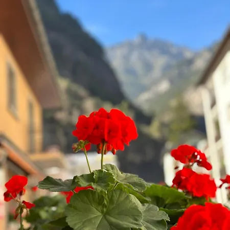 Отель Bellevue *